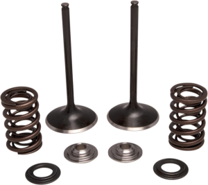 Engine Valve Kit