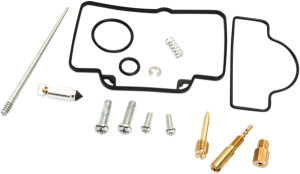 Carburetor Repair Kit 