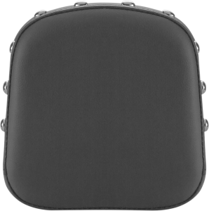 Sissy Bar Pad Black, 1, nordicamoto.ro