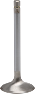 White Diamond Engine Valve