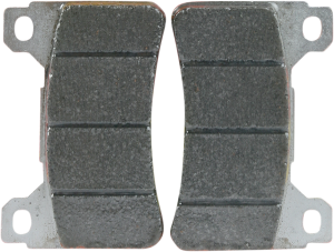 Dc Racing Dual Carbon Brake Pads, 1, nordicamoto.ro