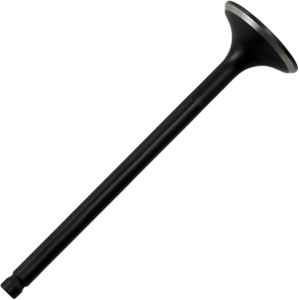 Black Diamond Engine Valve