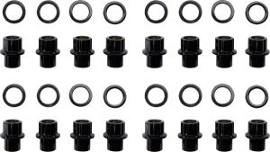 Carbon Lug Nuts Silver 