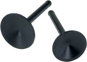 Replacement Valves