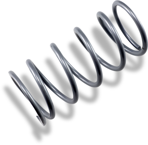 Secondary Clutch Spring For Diamond Drive Silver