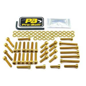 Bolt Kit Gold