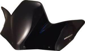 Windshield Polaris