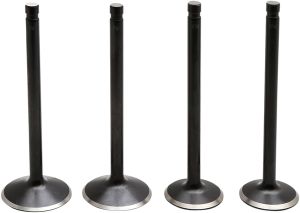 Engine Valve Kit