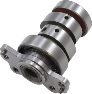 Cam Raptor 700 Stg 1