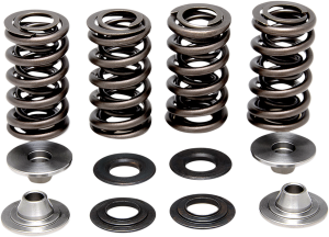 Lightweight Racing Valve Spring Kit, 1, nordicamoto.ro