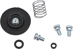 Accelerator Pump Rebuild Kit