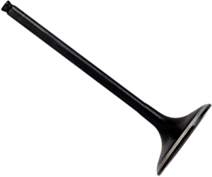 Black Diamond Engine Valve