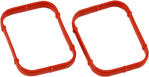 Rocker Gasket