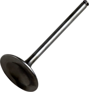 Replacement Valve Silver, 2, nordicamoto.ro