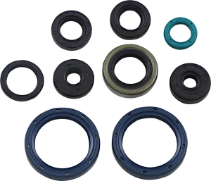Oil Seal Gasket Kit