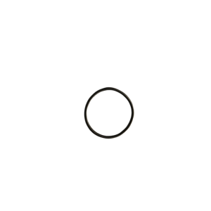 BENDIXSPRING