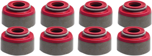 Valve Guide Seals