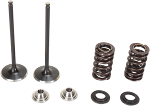 Stainless Steel Conversion Valve And Spring Kit, 1, nordicamoto.ro