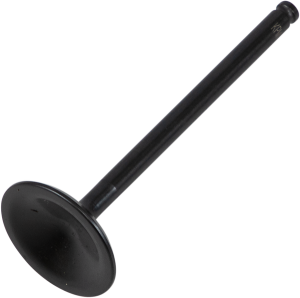 Black Diamond Engine Valve