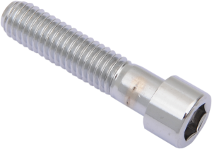 Replacement Socket Head Bolts Silver
