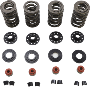 Lightweight Racing Valve Spring Kit