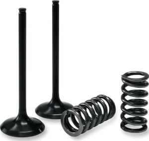 PROX Valve And Spring Kit 