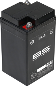 Sla Factory-activated Agm Maintenance-free Batteries Black