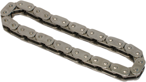 Cam Chain 
