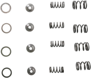 Valve Spring Kit