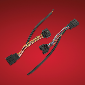 Accesory Sub-harness Gl1800, 1, nordicamoto.ro