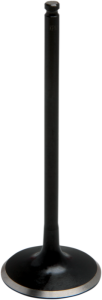 Black Diamond Engine Valve