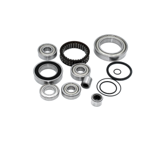 Service Kit Bosch Motor Gen4