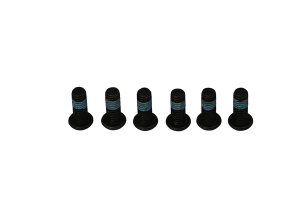 Brake Rotor Bolt Set Silver, Stainless Steel
