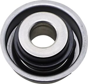 Water Pump Seal