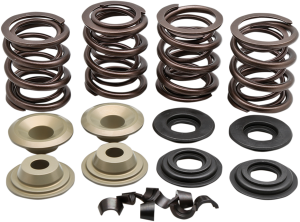 Complete Valve Spring Kit, 1, nordicamoto.ro