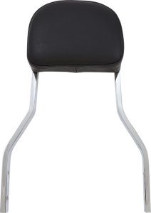 Backrest Det Shrt Chr Dyn Silver, 4, nordicamoto.ro