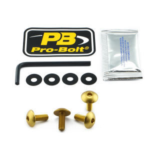 License Plate Screws Gold
