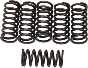 Clutch Spring Kit Black
