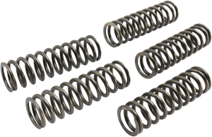 Set arcuri ambreiaj CSK, 1, nordicamoto.ro