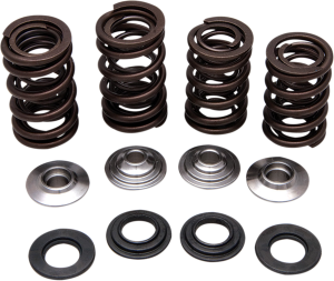 Valve Spring Kit