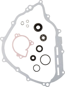 Water Pump Rebuild Kit