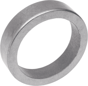 Cast Iron Valve Seat