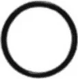 O-RING