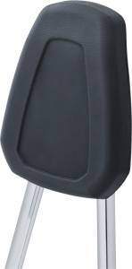 Sissy Bar Harley Davidson Black, Silver, 5, nordicamoto.ro