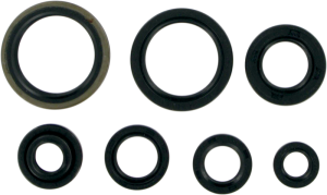 Oil Seals