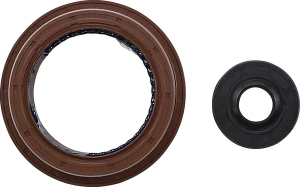 Oil Seal