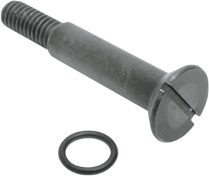 Bolt And O-ring Kit Silver