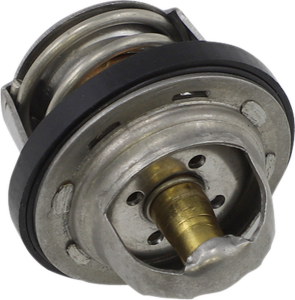 Thermostat Silver