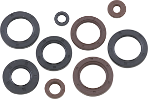 Oil Seal Kit