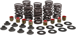 Valve Spring Kit, 1, nordicamoto.ro